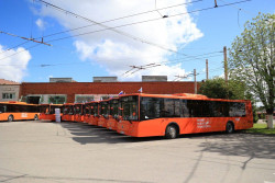 На линиях курсируют  новые автобусы